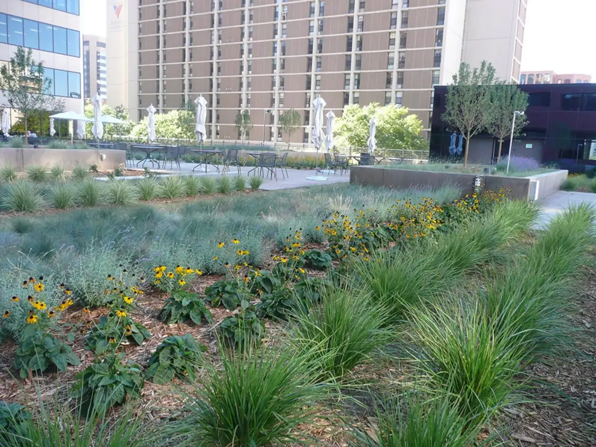 Commercial landscape maintenance at a Denver office park