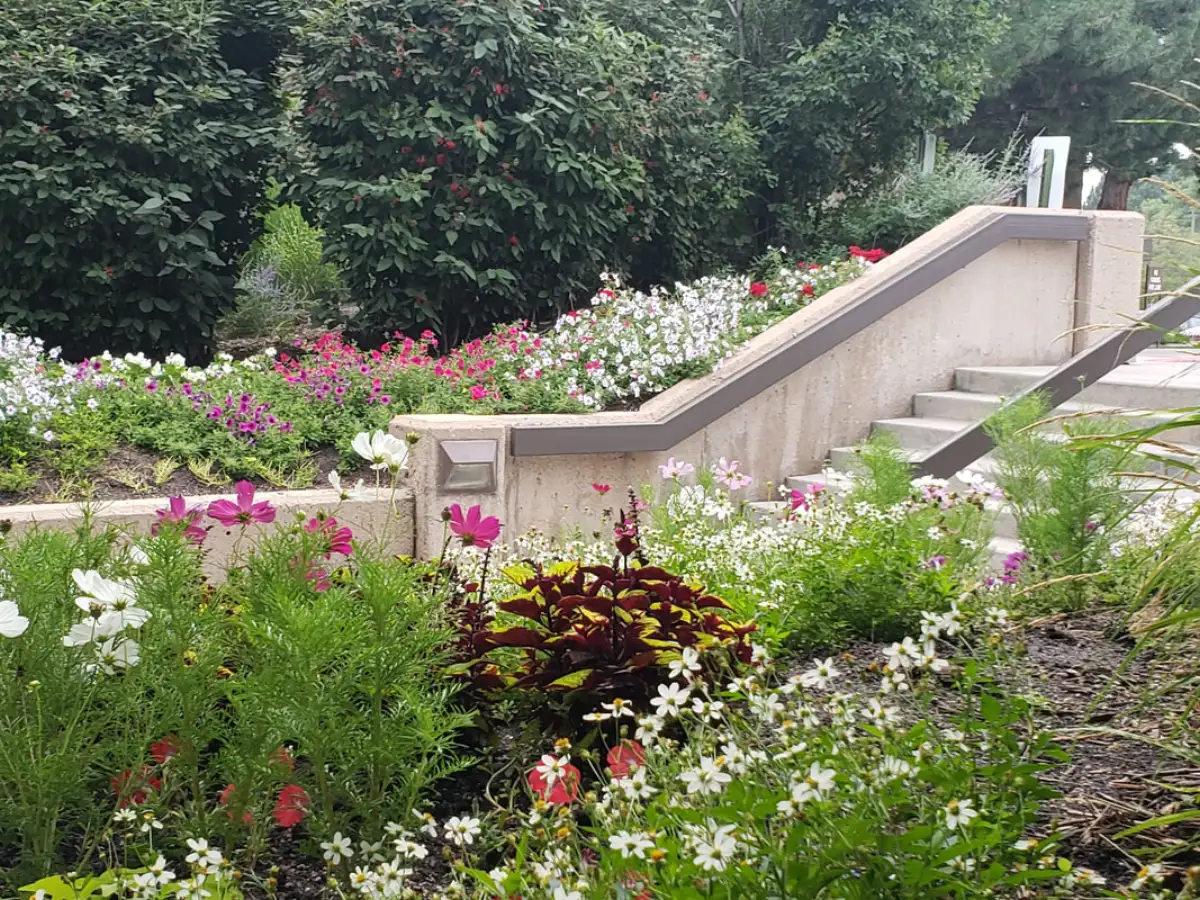 JLS landscape maintenance at a Douglas County corporate center