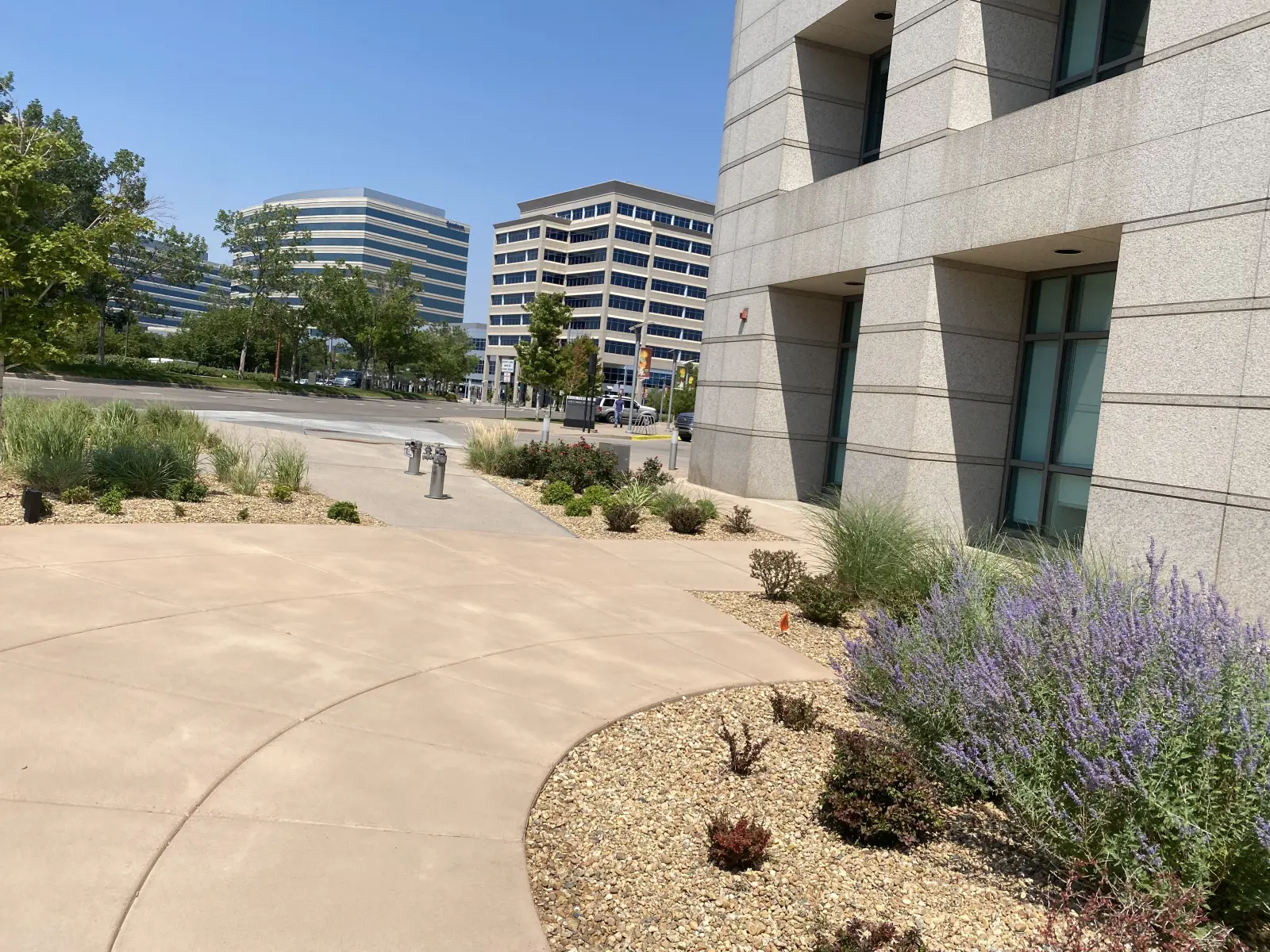 Corporate office xeriscape landscape maintained by JLS in Denver