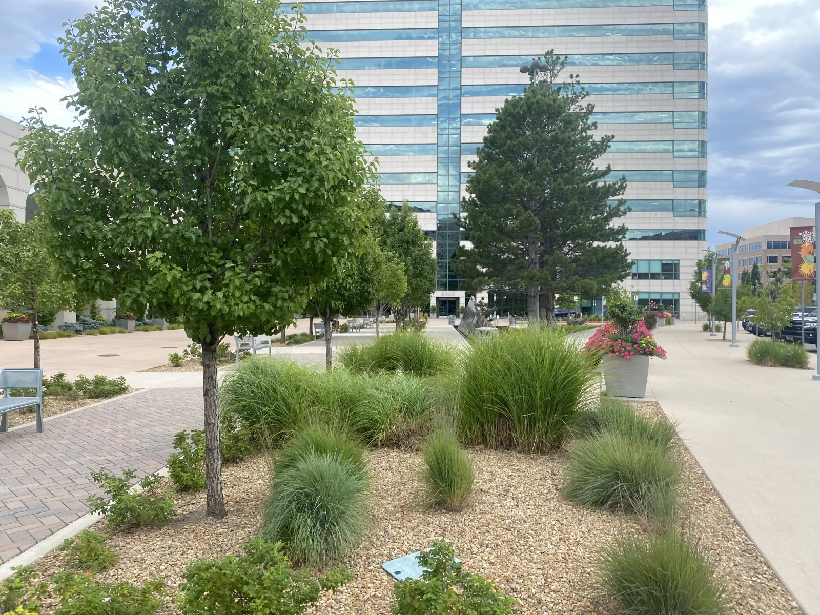 Trees, ornamental grasses and planted beds in a commercial plaza