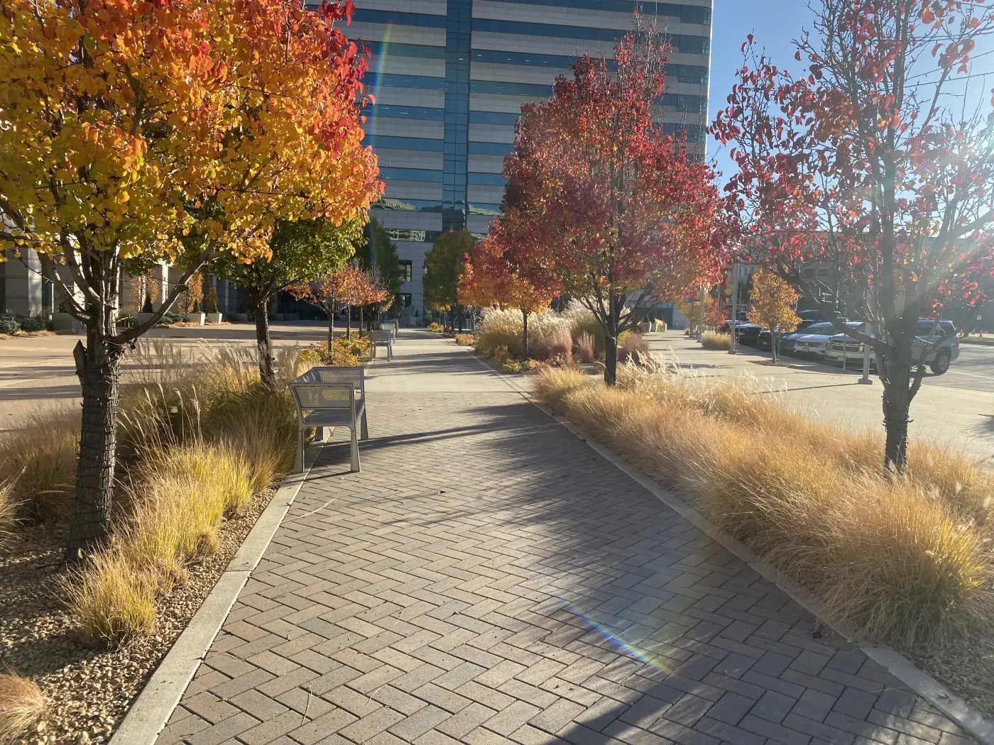 Corporate plaza landscaping in Lone Tree, Colorado