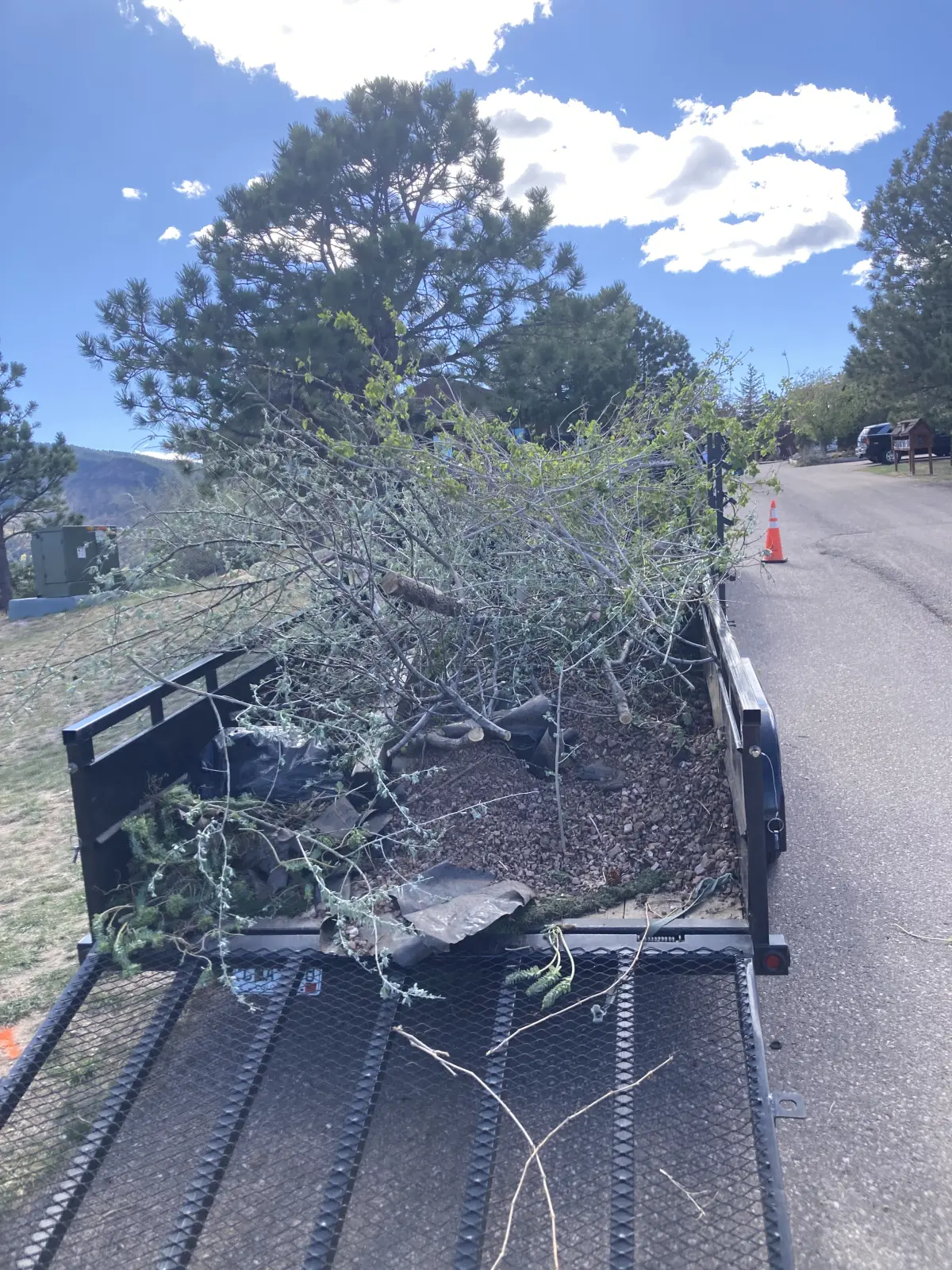 JLS fire mitigation and defensible space clearing on a Colorado property