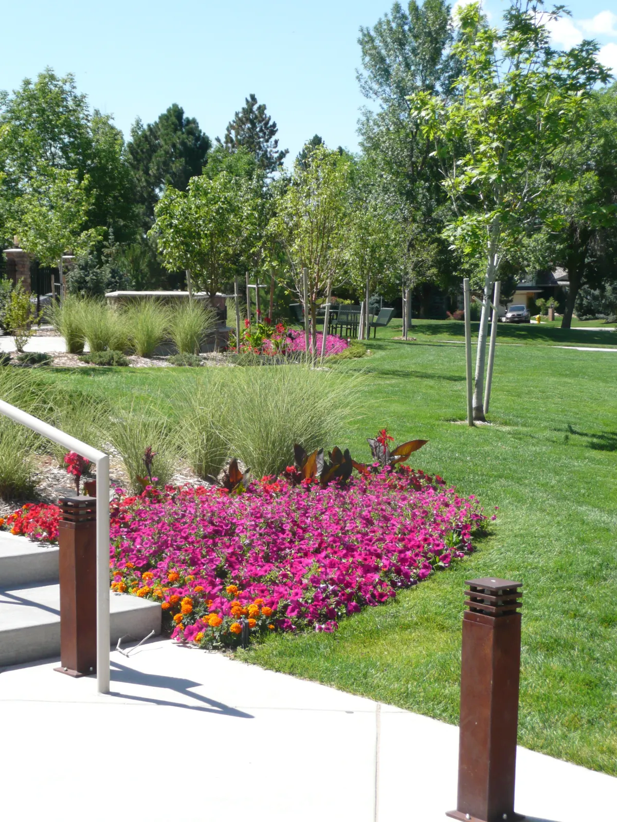 HOA landscape maintenance by JLS in Denver
