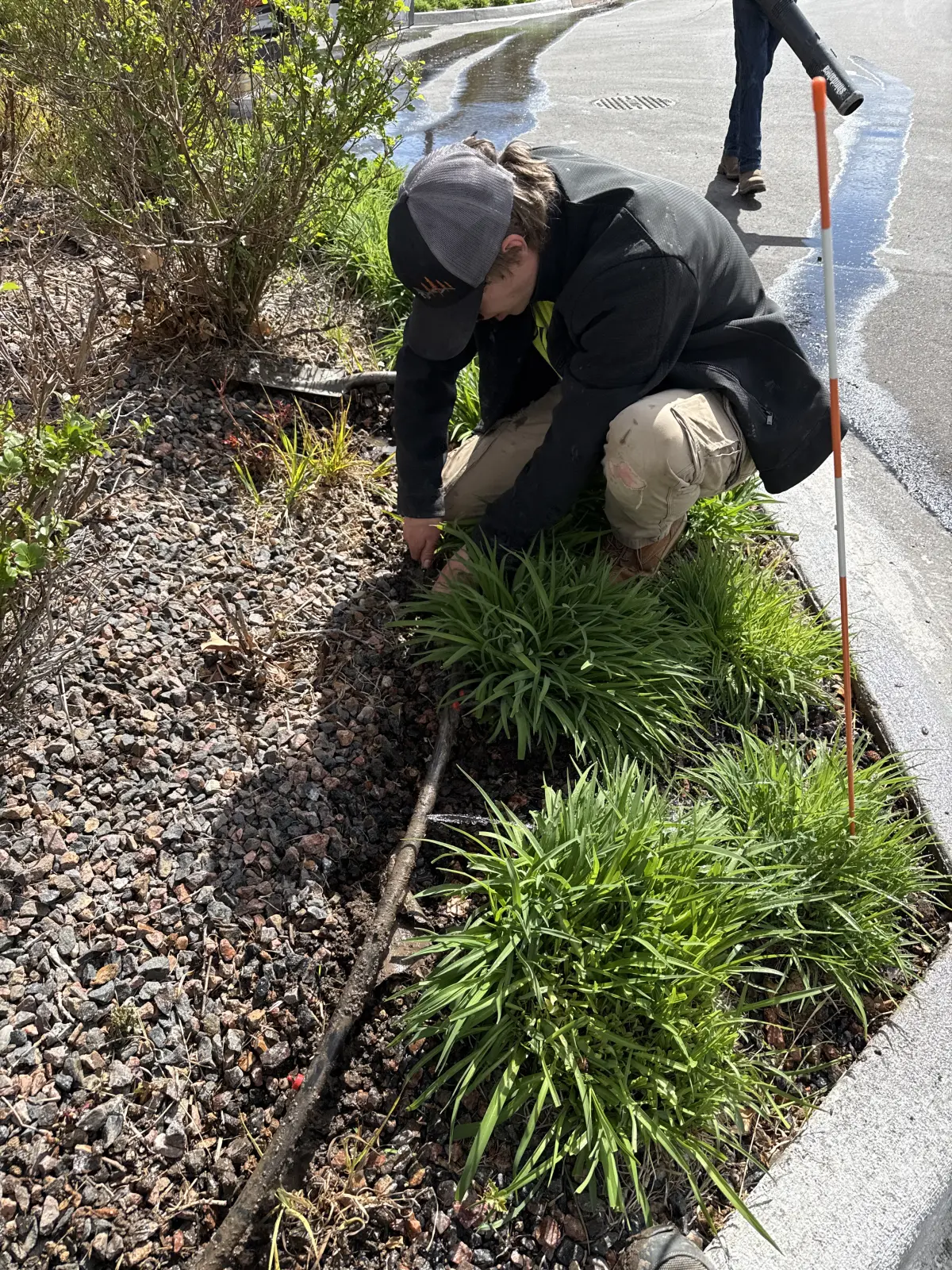 Irrigation system on a Castle Rock property
