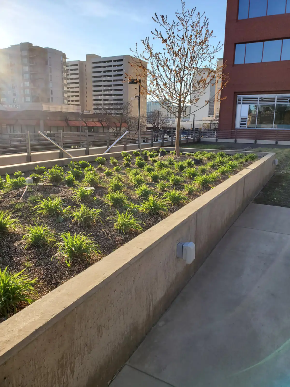 Sprinkler head repair on a Colorado commercial property