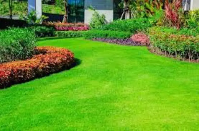 JLS professional lawn care and landscape maintenance in Denver