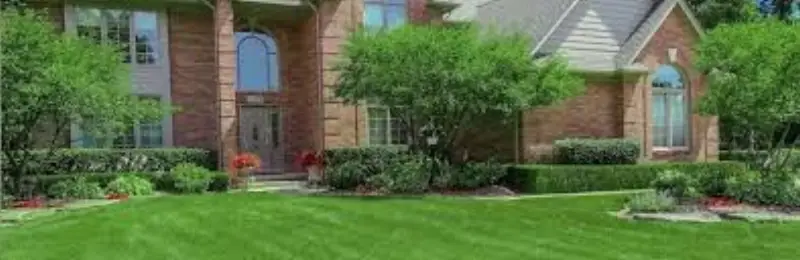 JLS landscape maintenance showing vibrant green turf