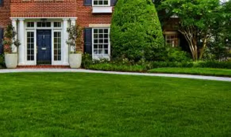 JLS crew performing fire mitigation vegetation management in Colorado