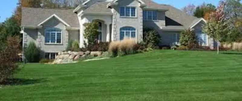 Healthy lawn and garden maintained by JLS in Castle Rock