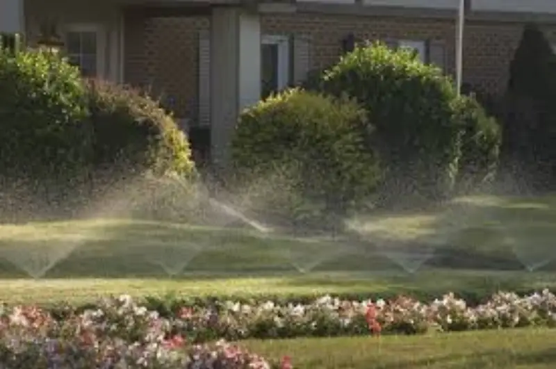 Pop-up sprinkler system on a Denver Metro property
