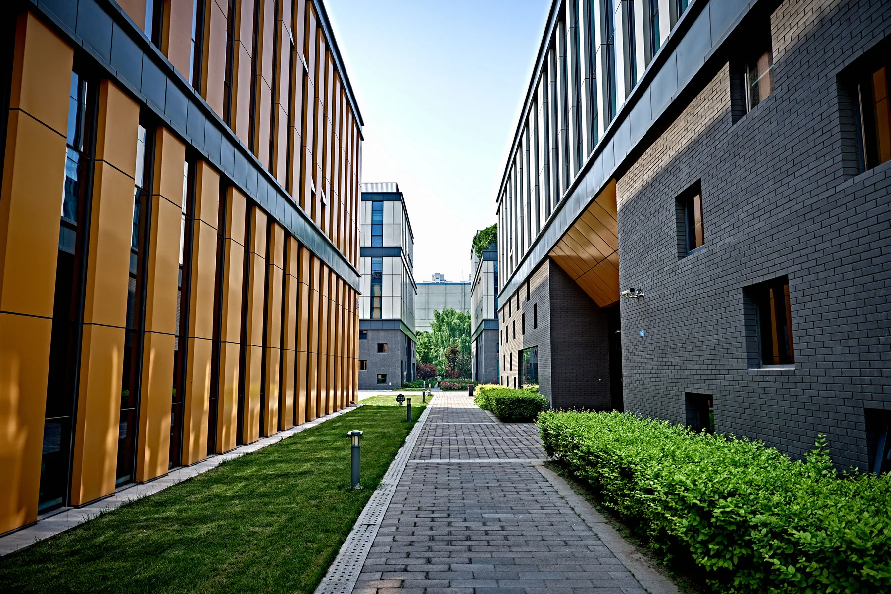Trimmed hedges and lawn along a walkway between office buildings